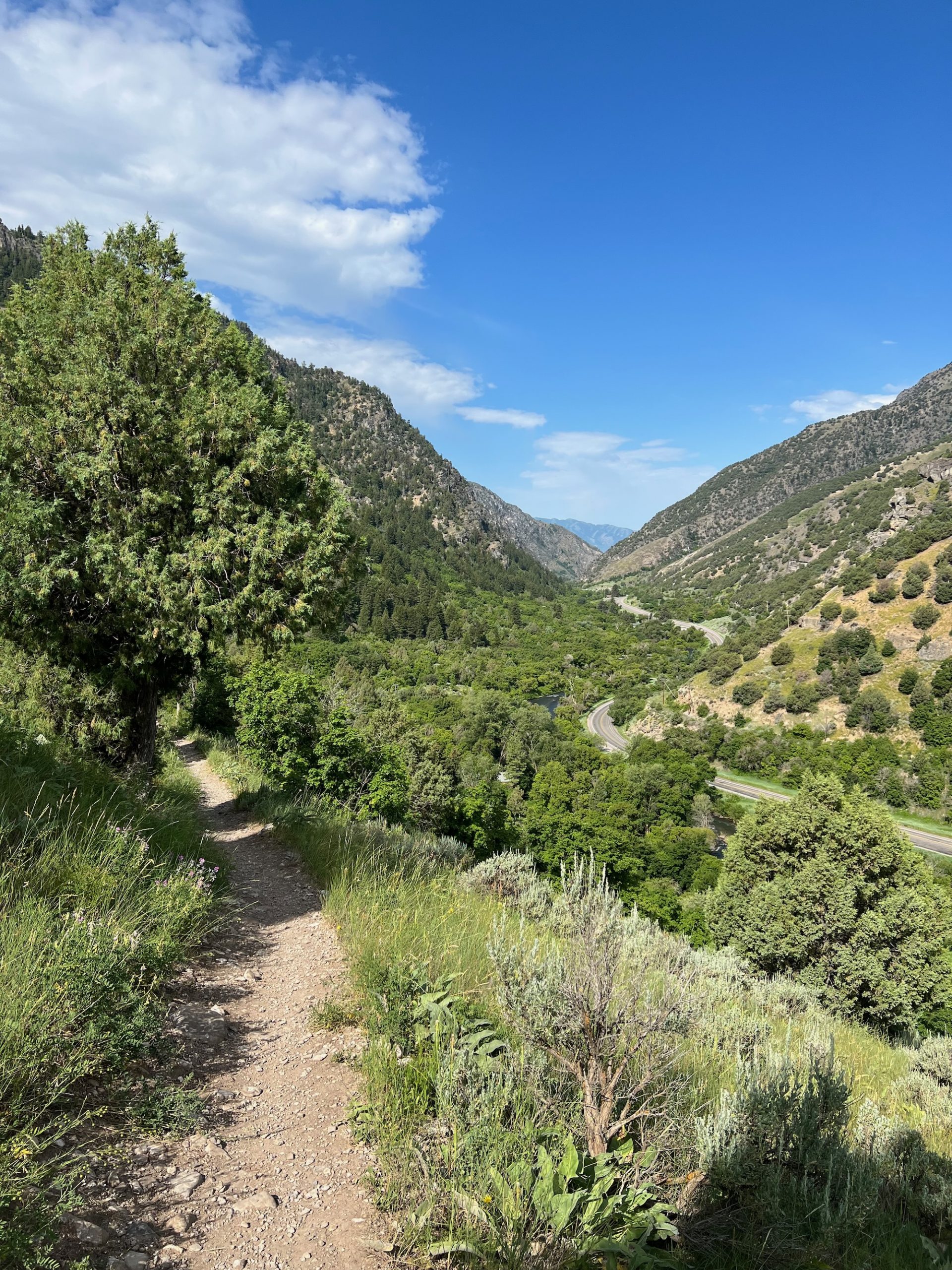 shoreline bike path