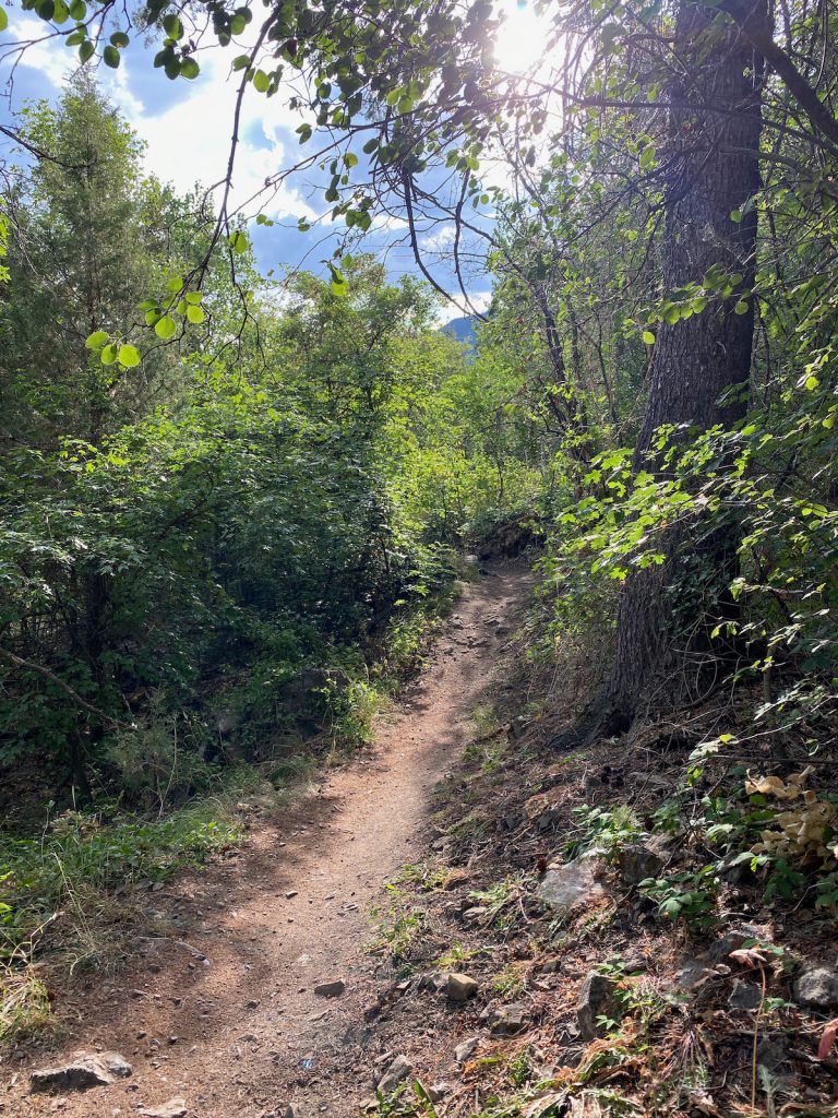 Single track, River Trail, Logan Canyon