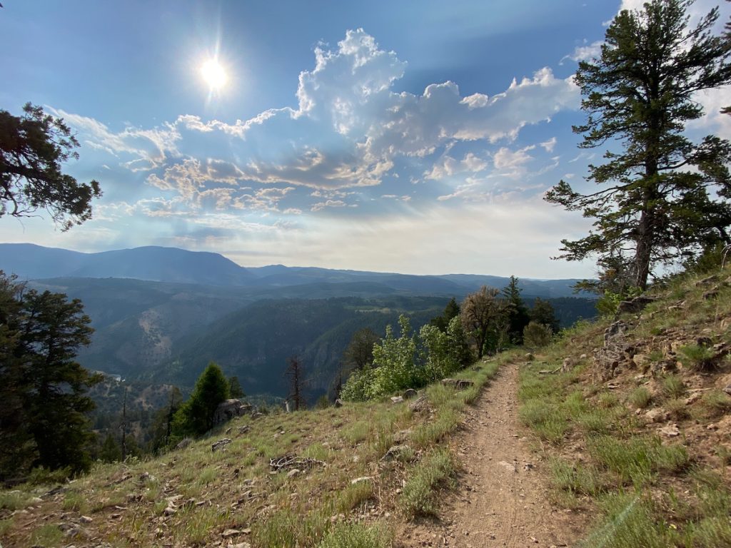 Single track overlooking Logan Canyon with the sun high in the sky