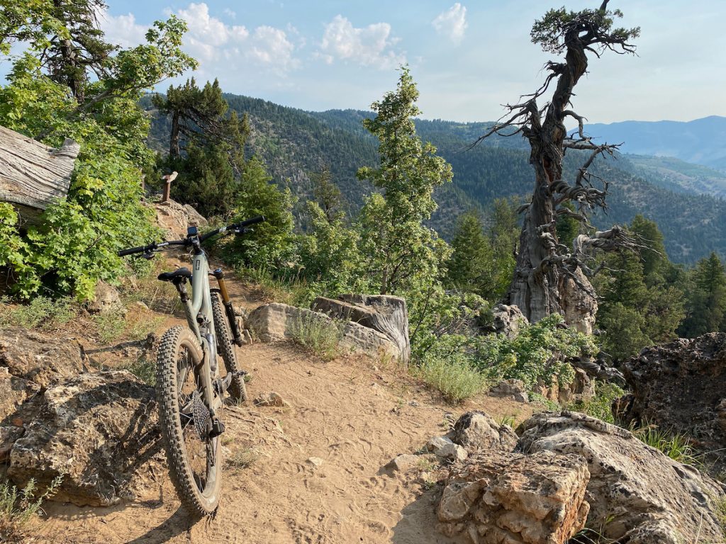 Ibis Ripmo and the Jardine Juniper in Logan Canyon