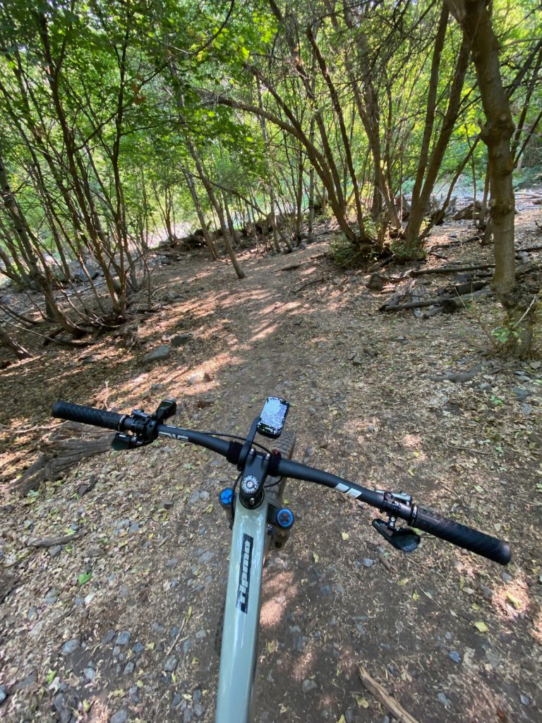 Rider's point of view for the Ibis Ripmo