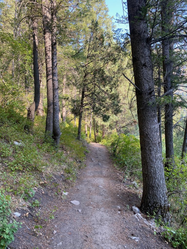 New trail above Spring Hollow campground