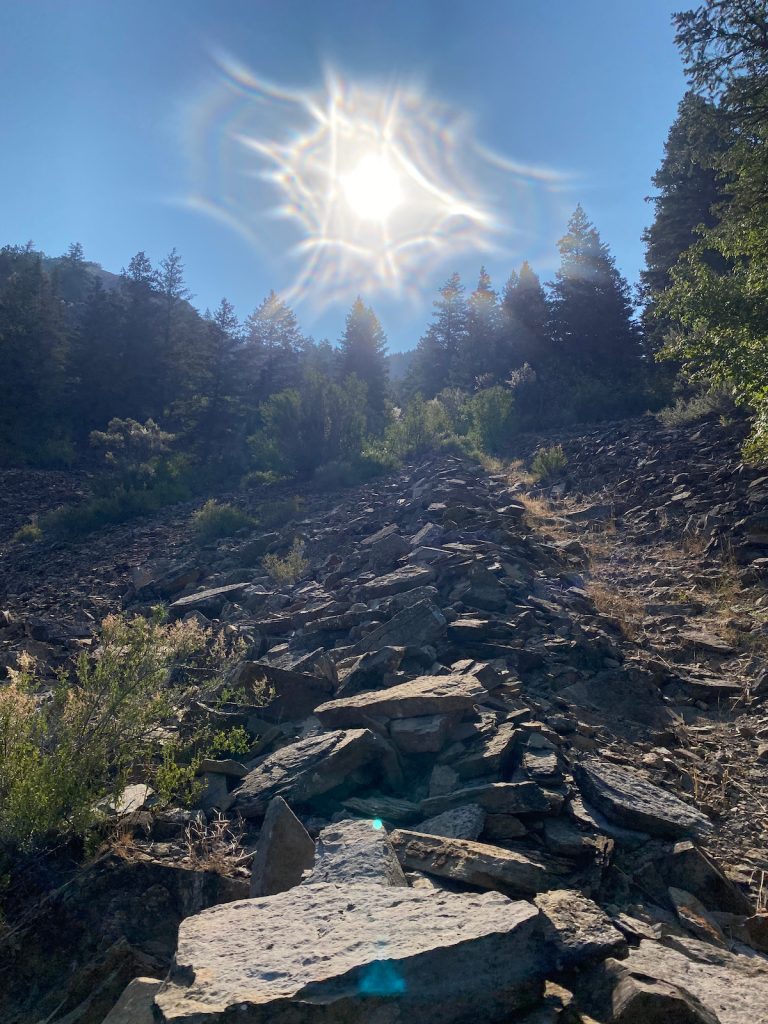 Sun beating down on a rock slide above Spring Hollow campground in Logan Canyon