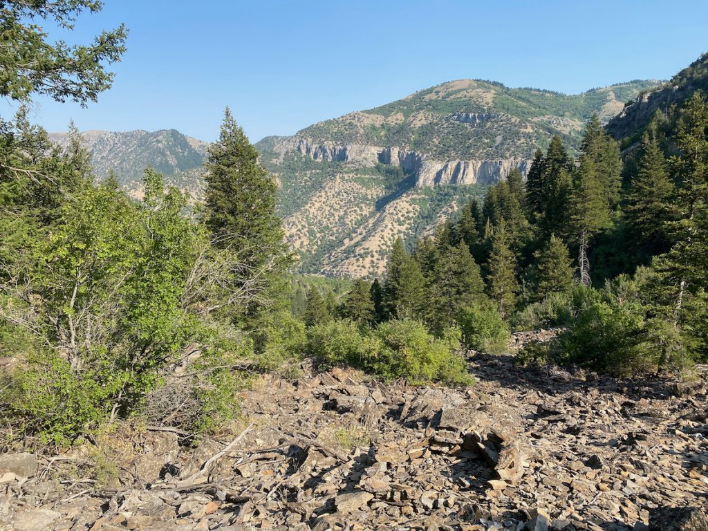 View from the climb up to the rock slide. Opposite side of the canyon can be seen in the distance.