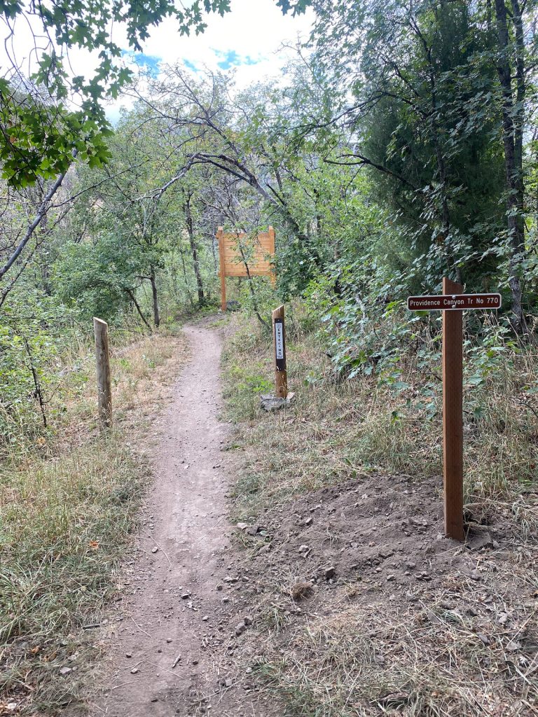 Forrest trail with 4 signs