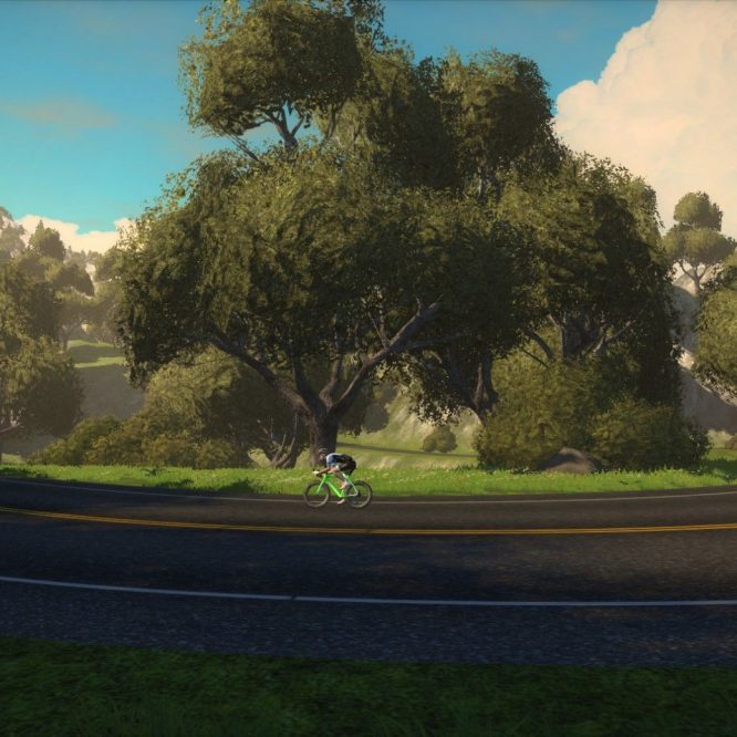 Riding in Zwift with a big tree in the background