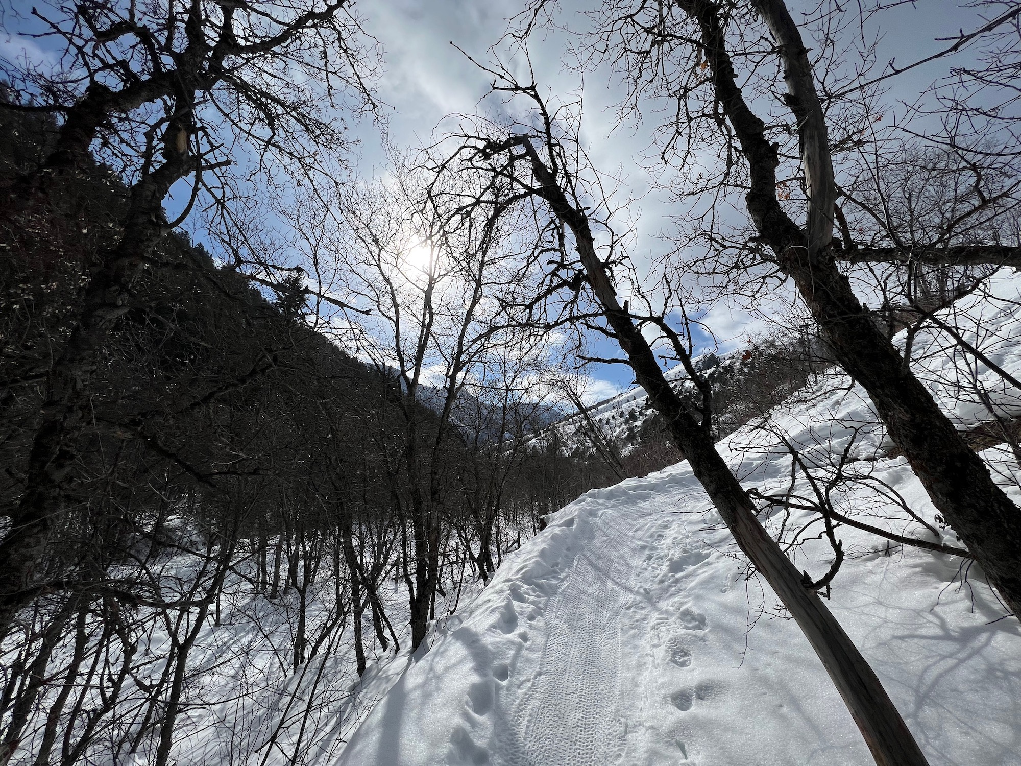 Green Canyon winter trail