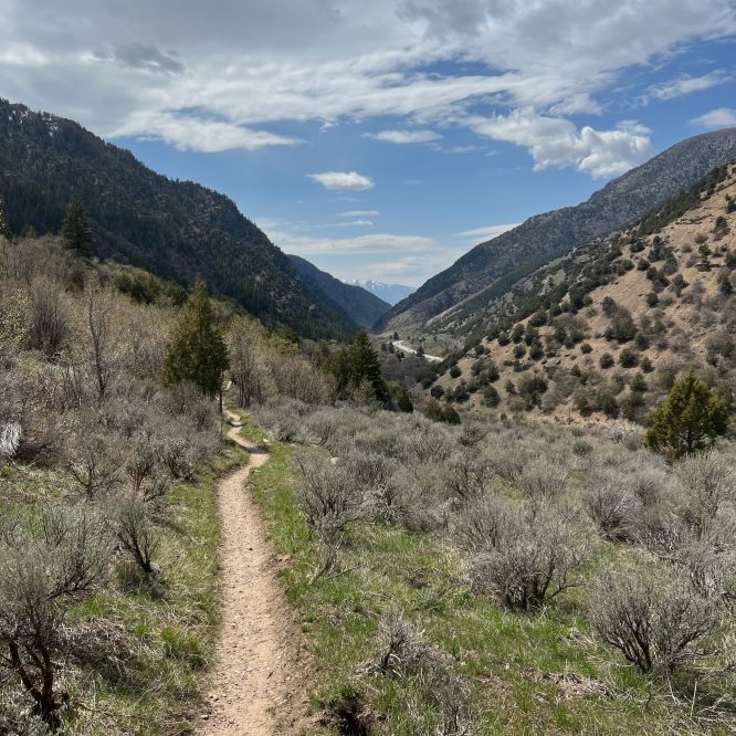 View of Logan Canyon from the Bridger Lookoff Trail