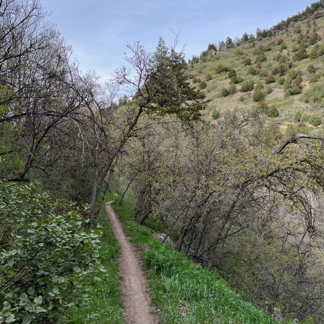 Green Canyon Trail