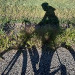 Shadow of a road bike rider