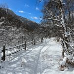 Fat bike trail through the snow in Providence Canyon
