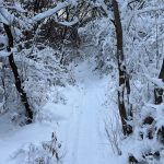 Providence Canyon trail covered in snow
