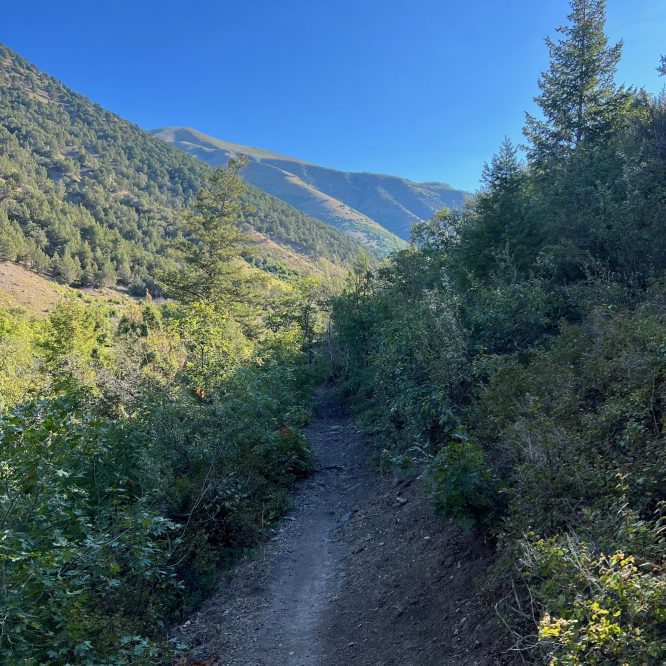 Providence Canyon Trail