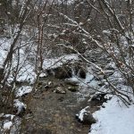Providence Canyon winter stream