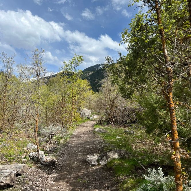 Providence Canyon trail