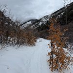 A snowy path winds through a winter landscape in Green Canyon, Utah. Surrounding the path are bare trees and bushes with orange leaves, under a cloudy sky with misty mountains in the background.