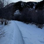 A snow-covered path leads through a forested area with bare trees, surrounded by mountains in Providence Canyon, Utah. The sky is slightly overcast, with hints of light peeking through.