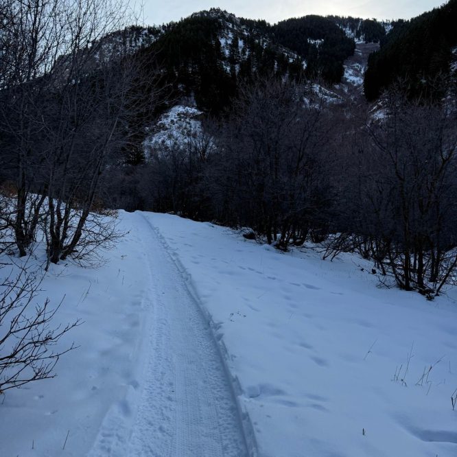 A snow-covered path winds through trees in Providence Canyon, Utah, with mountains rising in the background under a cloudy sky.