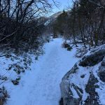 A snow-covered pathway lined with bare trees and rocky outcrops, leading into a mountainous area under a clear blue sky.