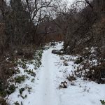 A snowy pathway winds through a wooded area, lined with bare trees and patches of green vegetation. The scene is overcast, suggesting a chilly atmosphere. Rocks are visible along the sides of the path, creating a natural, unpaved trail.