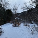 A snowy path winds through trees and shrubs, leading into Providence Canyon, Utah. The scene is clouded and cold, with mountains visible in the background.