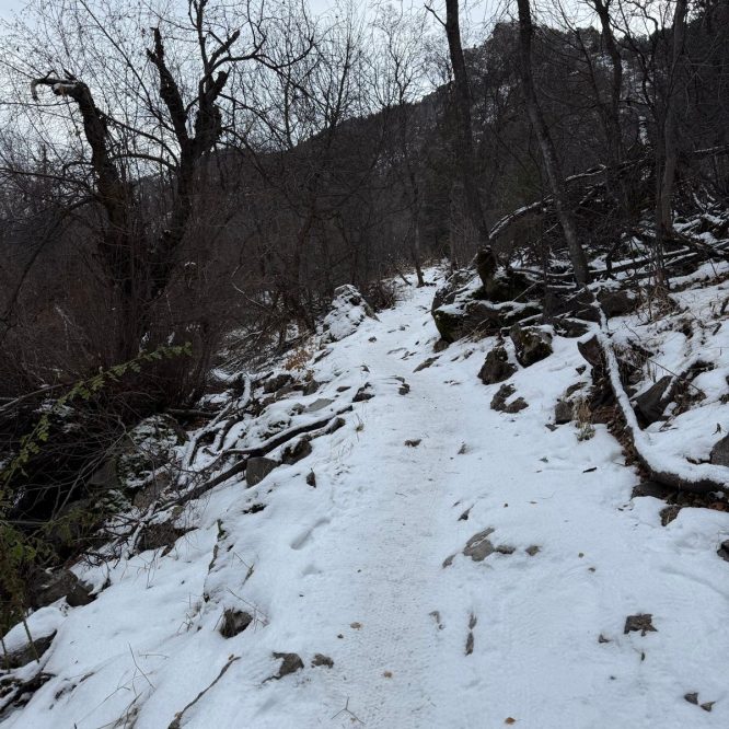 A snow-covered trail winds through a forested area with bare trees and rocky terrain, located in Providence Canyon, Utah. The sky is overcast, creating a gray atmosphere.