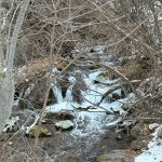 A small stream flows over rocks in a snowy forest, surrounded by bare trees and branches.