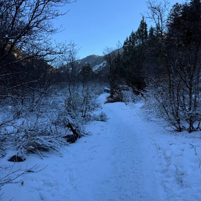 A snow-covered path leads through a wintry landscape, lined with bare trees and shrubs. In the background, mountains are visible under a clear blue sky.