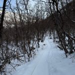 A snowy pathway winding through bare trees in Providence Canyon, Utah. The path is surrounded by snow-covered ground and leads into the distance.