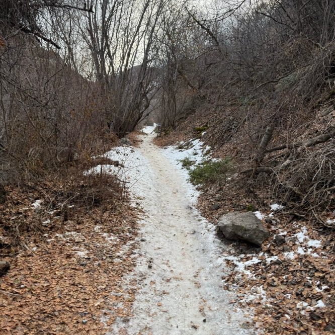 A narrow dirt trail lined with bare trees and scattered leaves, with patches of snow on the ground, in a wooded area of Logan, Utah.