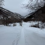 A snow-covered path leads through a winter landscape in Providence, Utah. Mountains are visible in the background, partially obscured by clouds, and trees line the sides of the path. The scene is tranquil and overcast.