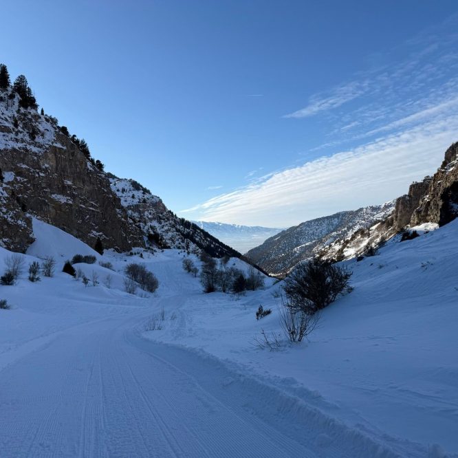 A snow-covered road winds through a canyon surrounded by steep, rocky slopes and scattered trees under a clear blue sky in Providence Canyon, Utah.