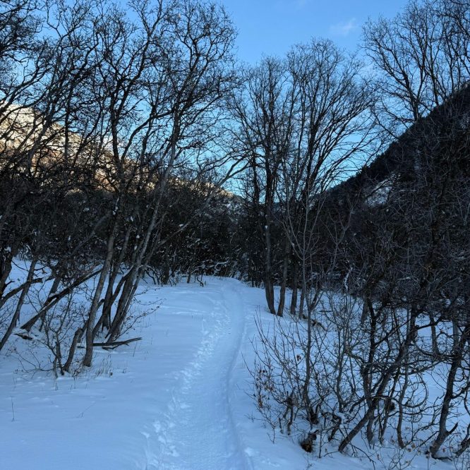 Snow-covered path winding through bare trees on a winter day in Providence, Utah, under a clear blue sky.