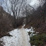 A narrow dirt path winds through a wooded area in Logan, Utah, with patches of snow and dried leaves on either side. Leafless trees rise alongside the path, and a faint sky is visible overhead.