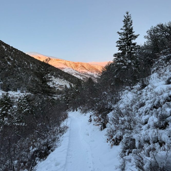 Snow-covered trail winding through a mountain landscape in Providence, Utah, with trees lining the path and sunlight illuminating the peaks in the background.