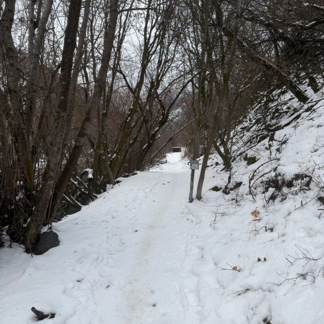 A snowy trail lined with bare trees in Providence, Utah. The path is mostly covered in snow, with some footprints visible. The scene is set under a cloudy sky, creating a quiet, serene atmosphere.