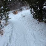 A snow-covered path winding through a wooded area in Providence, Utah, with trees lining either side and small bushes partially visible in the snow.