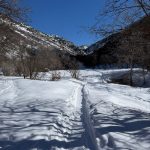 A snow-covered path leads through a winter landscape in Providence, Utah. The scene features hills and mountains in the background under a clear blue sky, with trees on either side casting long shadows on the snowy ground.