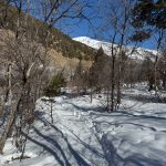 A snow-covered trail winding through a forest with bare trees and a mountain in the background under a clear blue sky, taken in Providence, Utah.