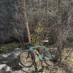 A teal bicycle is parked next to a rocky area amidst trees with budding leaves in Paradise, Utah. The background includes dry branches and a glimpse of a stream.