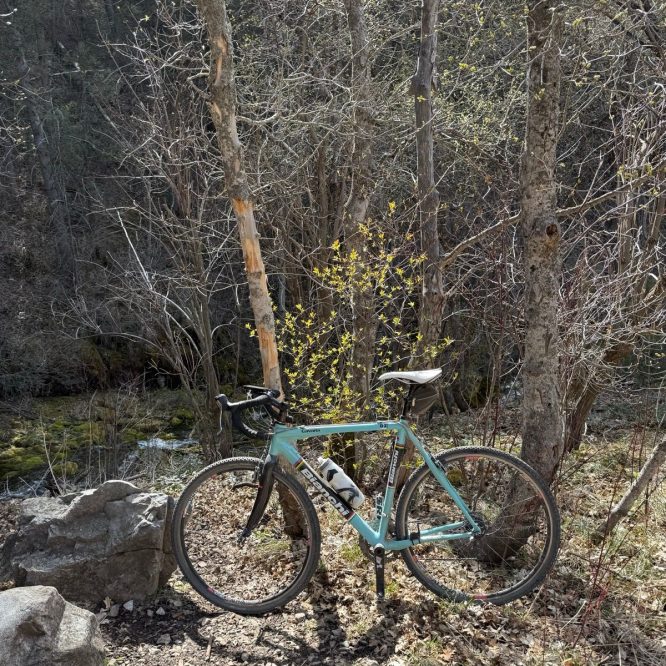 A teal bicycle is parked next to a rocky area amidst trees with budding leaves in Paradise, Utah. The background includes dry branches and a glimpse of a stream.