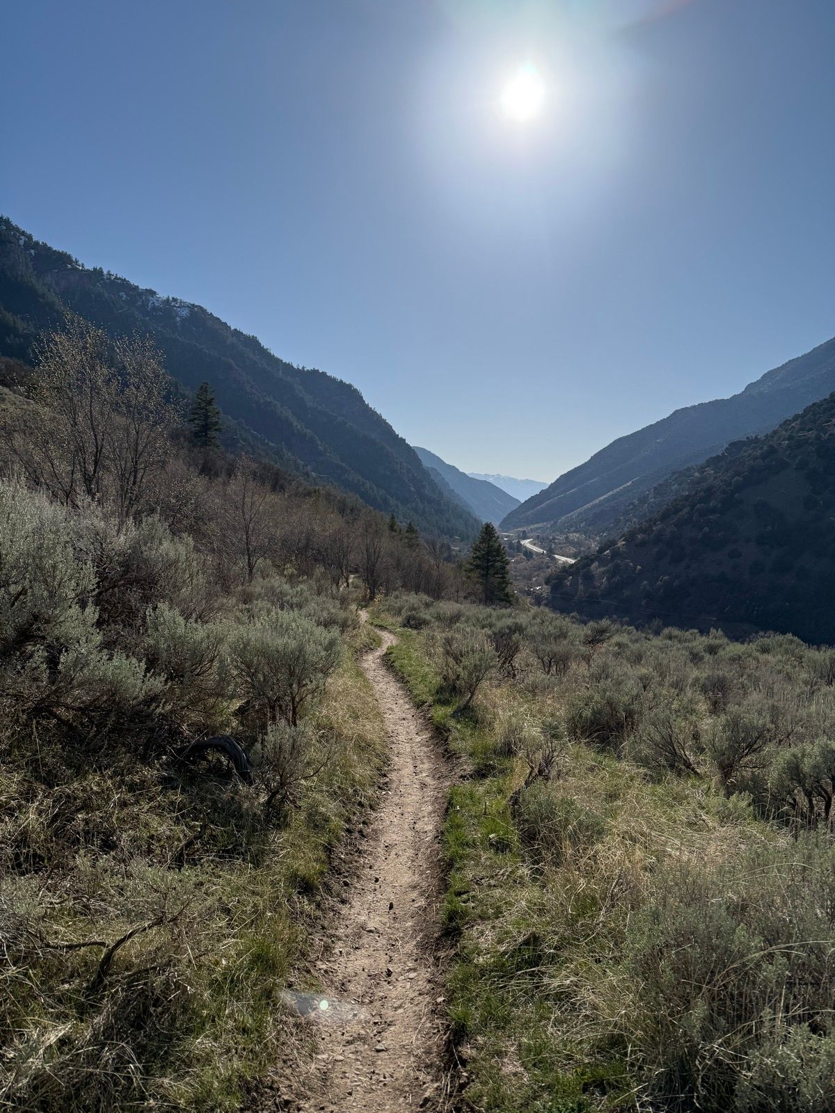 A winding dirt path leads through green grass and sagebrush in Paradise, Utah, with mountains rising on either side under a clear blue sky. The sun shines brightly overhead.