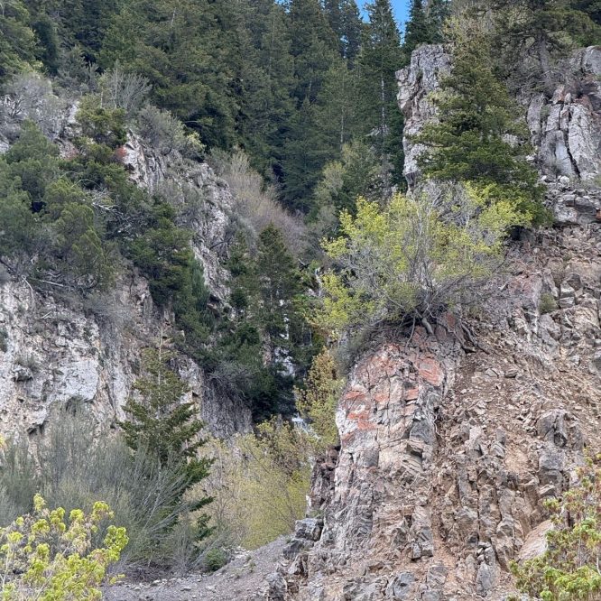 A rocky canyon landscape in Providence Canyon, Utah, featuring steep cliffs covered in green vegetation and trees, with a clear blue sky above.