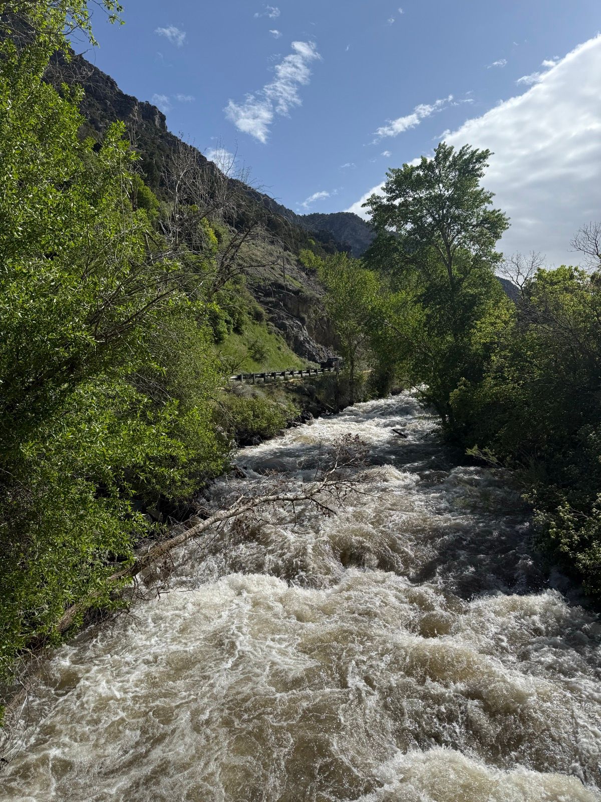 A rushing river flows through a lush green valley, surrounded by steep rocky hills and trees under a partly cloudy blue sky.