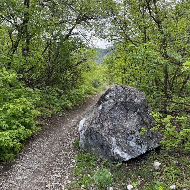 A winding gravel path runs through lush greenery in Providence Canyon, Utah, with a large rock positioned on the side of the trail. The scene features a variety of trees and shrubs under a cloudy sky.