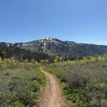 A dirt trail winds through green vegetation in Providence Canyon, Utah, leading towards a snow-capped mountain under a clear blue sky.
