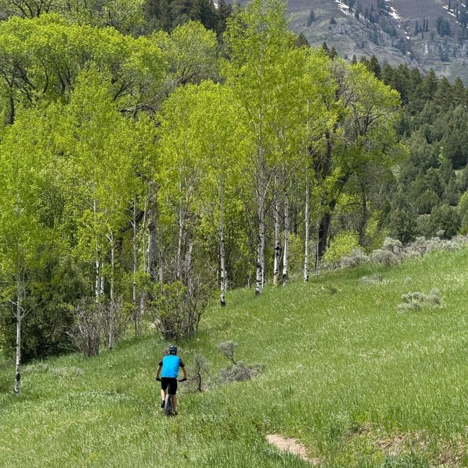 A person on a mountain bike rides along a grassy trail surrounded by lush green trees and shrubs, with snow-capped mountains in the distance. The scene is set in the Jardine Juniper Trail area, showcasing a vibrant spring landscape.