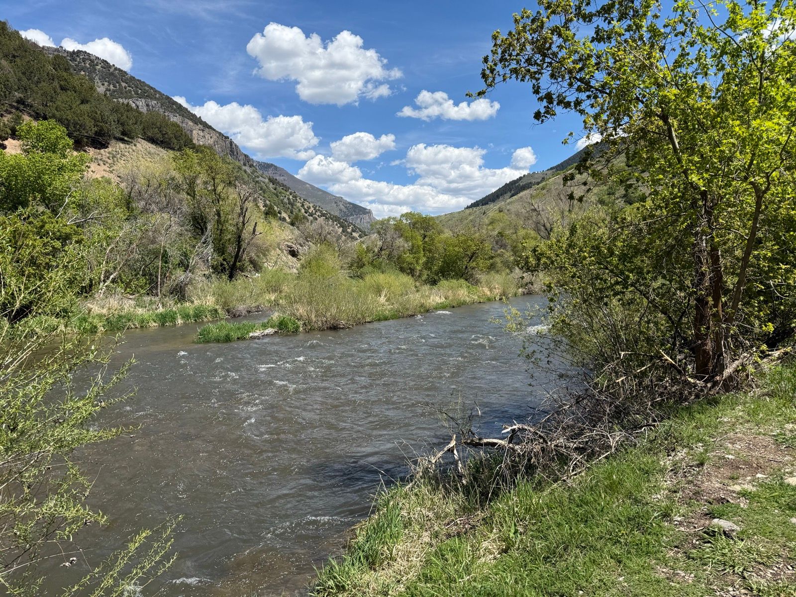 A scenic view of a river winding through lush greenery in Paradise, Utah, with mountains in the background and a partly cloudy sky.