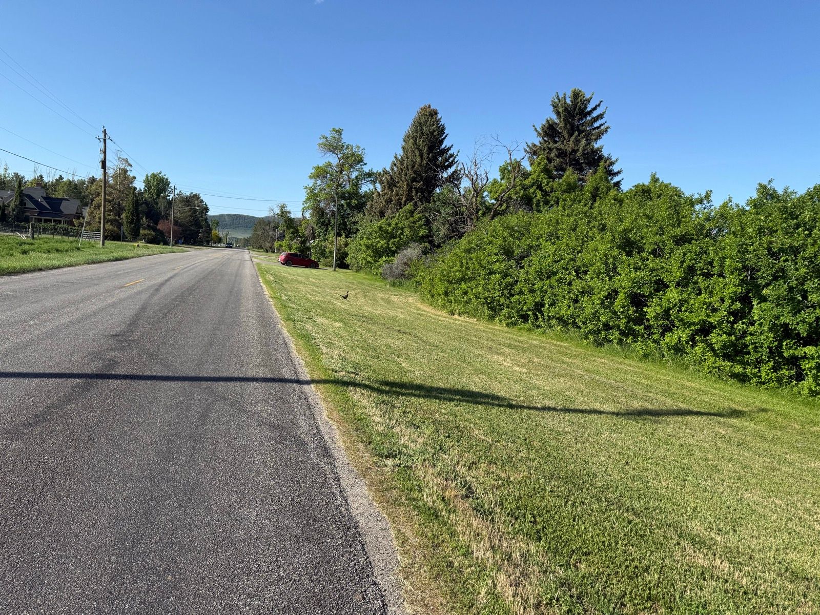 A scenic view of a quiet road in Nibley, Utah, with green grass and shrubs lining the side. A red car is parked on the right, and there are a few trees in the background under a clear blue sky.