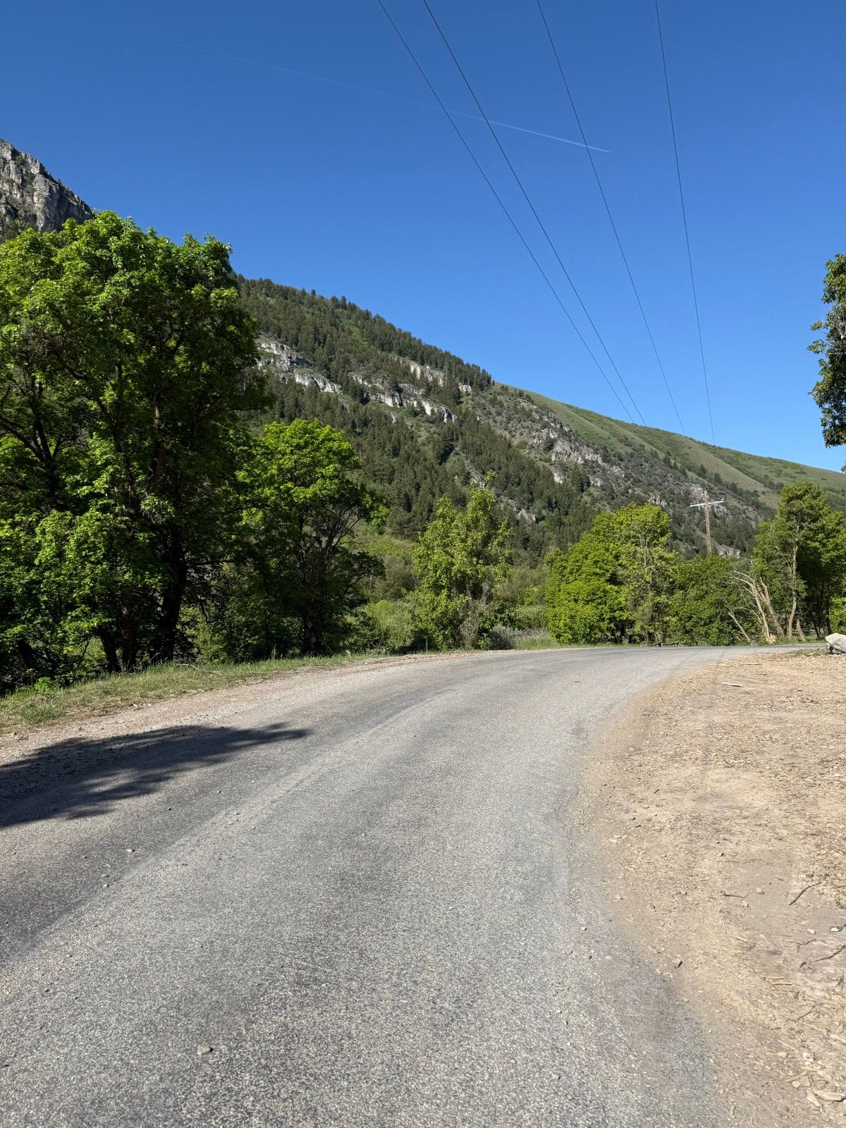 A winding dirt road surrounded by green trees and hills under a clear blue sky in Nibley, Utah.